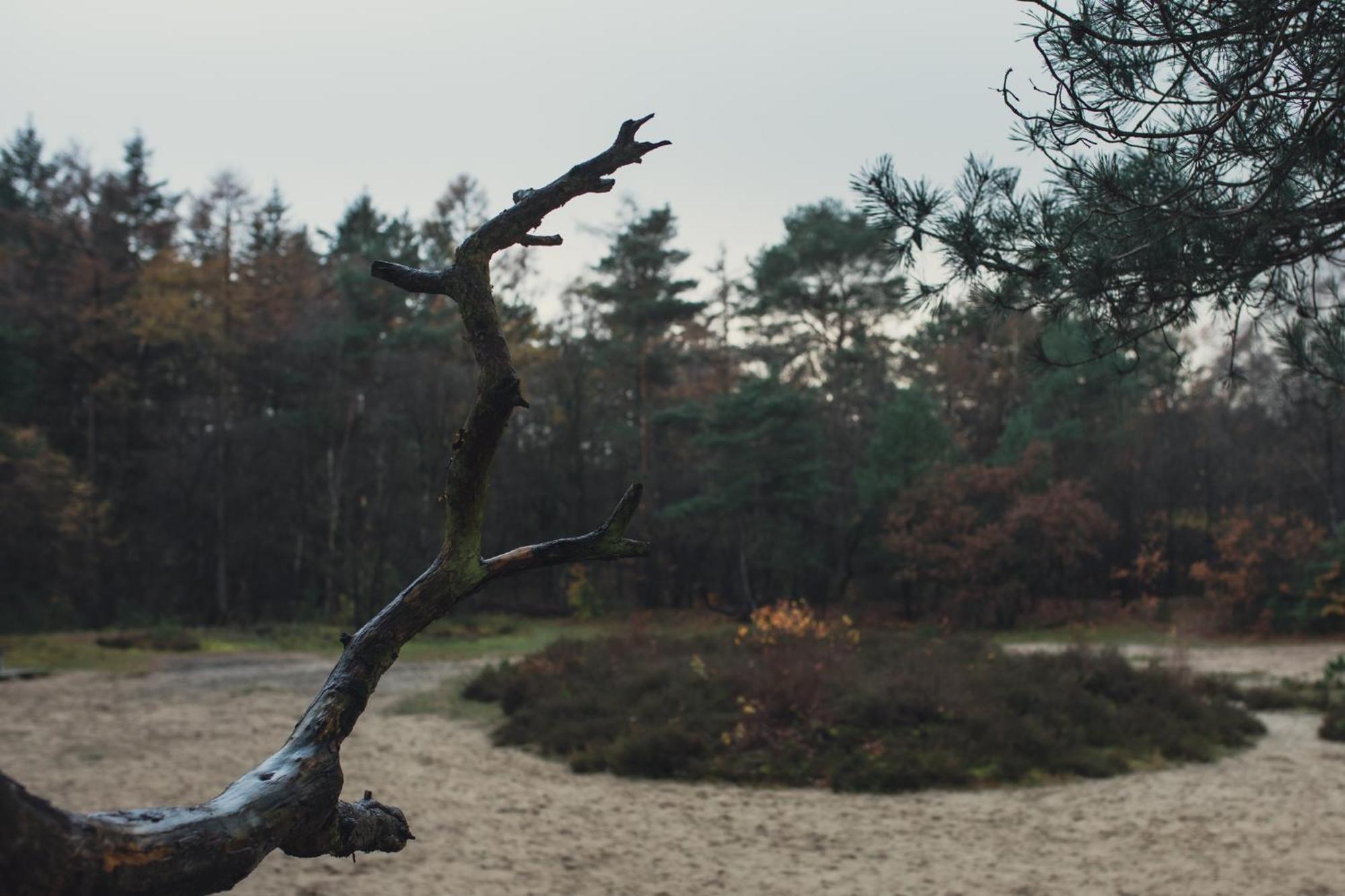 Drents Genieten - Kraaiheide Met Prive Jacuzzi Erm Екстер'єр фото